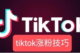 tiktok快速涨粉技巧分享，快来Get！
