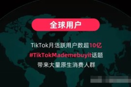 TikTok东南亚小店开店，小白也能轻松上手的详细步骤