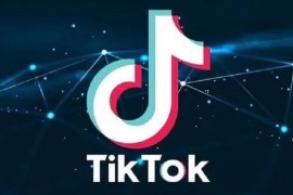 tiktok官网网址是什么，tiktok网页版官网入口
