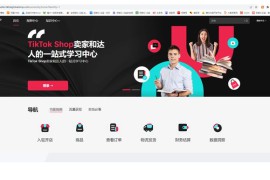 tiktok跨境电商怎么做新手入门教程，从注册到盈利的全流程解析