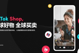 TikTok Shop东南亚怎么开店，TikTok Shop开店必备指南