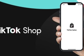 如何顺利入驻TikTok Shop？资质要求、流程解析全在这里