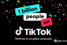 TikTok直播公会入驻教程：从申请到成功，全程指导