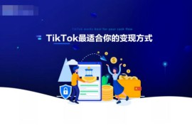 快速掌握Tik Tok商业变现方式，这几招一定要学